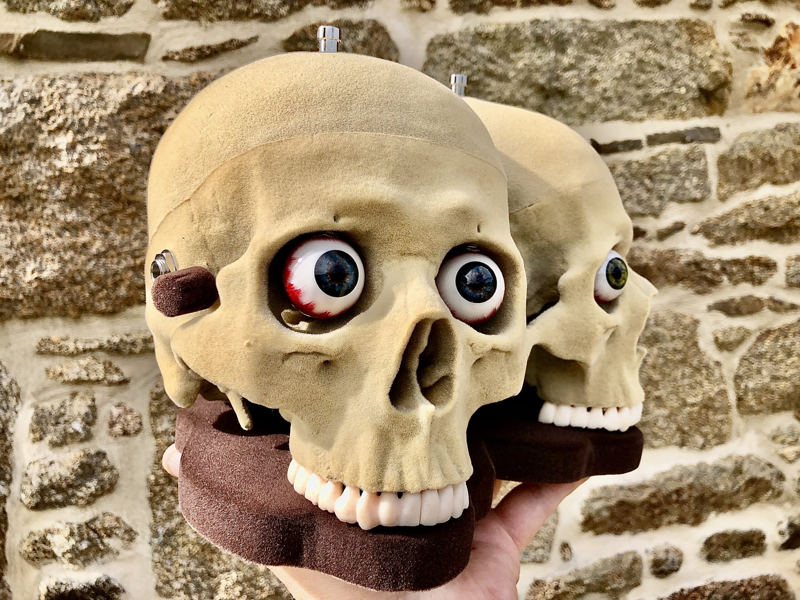 Dr. No Effects Siamese SkullFuzz